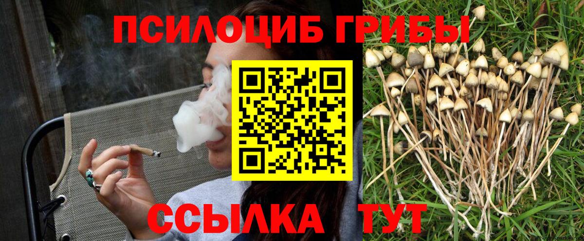 Псилоцибиновые грибы мицелий  магазин    Тара  Вход с VPN 